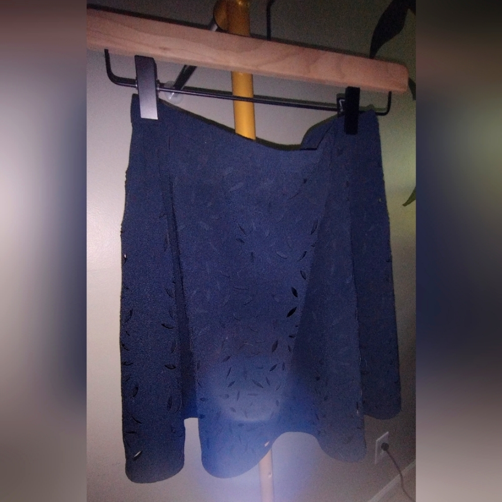 Banana Republic Skirt Size 0